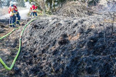Aichwald-Aichelberg: Mehrere Quatradmeter Hecke und Wiese brennen - Feuerwehr verhindert weitere Ausbreitung